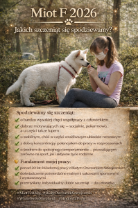 Miot F 2026 – Charakter, predyspozycje i dobór do właściciela.